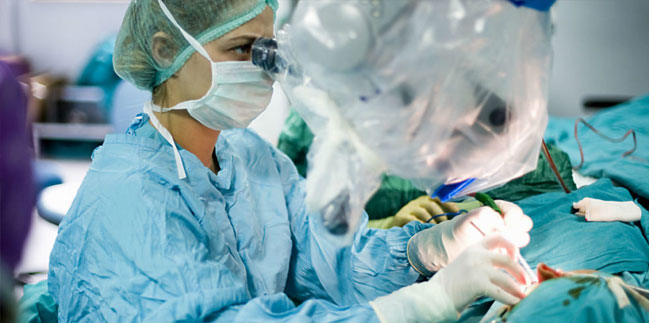 Person doing surgery Person doing surgery